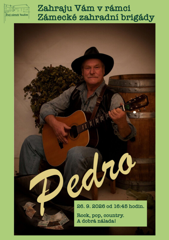 Pedro 2